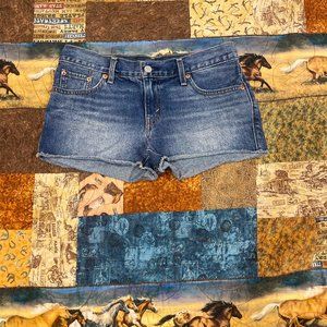 Womans jean shorts size 27